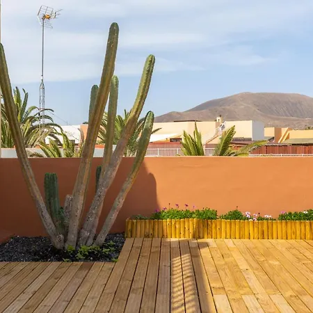 Apartment Garden House With Two Terraces