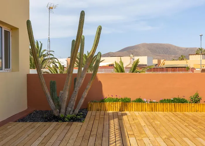 Apartment Garden House With Two Terraces